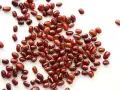 Grains de haricot azuki, petits et rouges, parsemés sur fond blanc. Découvrez les haricot azuki bienfaits pour une alimentation saine.