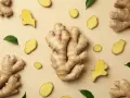 Gingembre frais, en morceaux et en tranches, disposés sur fond beige. Un aperçu de son gingembre effet immédiat.