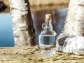 Bouteille de sève de bouleau sur un tronc d'arbre, avec des chatons. La sève de bouleau est réputée pour ses propriétés, parfois comparées à un anticoagulant naturel.