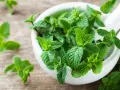 Un mortier rempli de feuilles de menthe fraîche, évoquant les nombreux bienfaits de cette plante aromatique pour la santé et le bien-être.