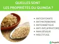 Le quinoa, riche en nutriments, est présenté avec ses propriétés : antioxydantes, antimicrobiennes, antidiabétiques, anti-inflammatoires, analgésiques et insectifuges.