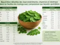 Feuilles de moringa dans un bol, avec un tableau détaillant les macronutriments, vitamines et minéraux. Les bienfaits principaux du moringa incluent son apport en antioxydants.