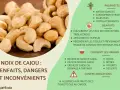 Gros plan sur des noix de cajou, avec des informations sur leurs bienfaits, mais aussi le noix de cajou danger potentiel lié aux allergies et au cardol.