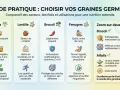 Guide comparatif des graines germées : Alfalfa, Lentille, Brocoli, Fenugrec. Zoom sur les bienfaits du brocoli et de l'alfalfa.