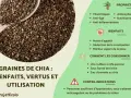 Graines de chia : une cuillère à café par jour pour leurs bienfaits nutritionnels, anti-âge et anti-inflammatoires.