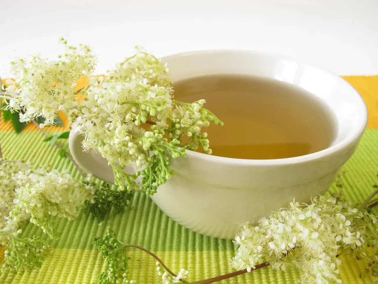 Infusion de reine des prés dans une tasse blanche, entourée de ses délicates fleurs blanches.