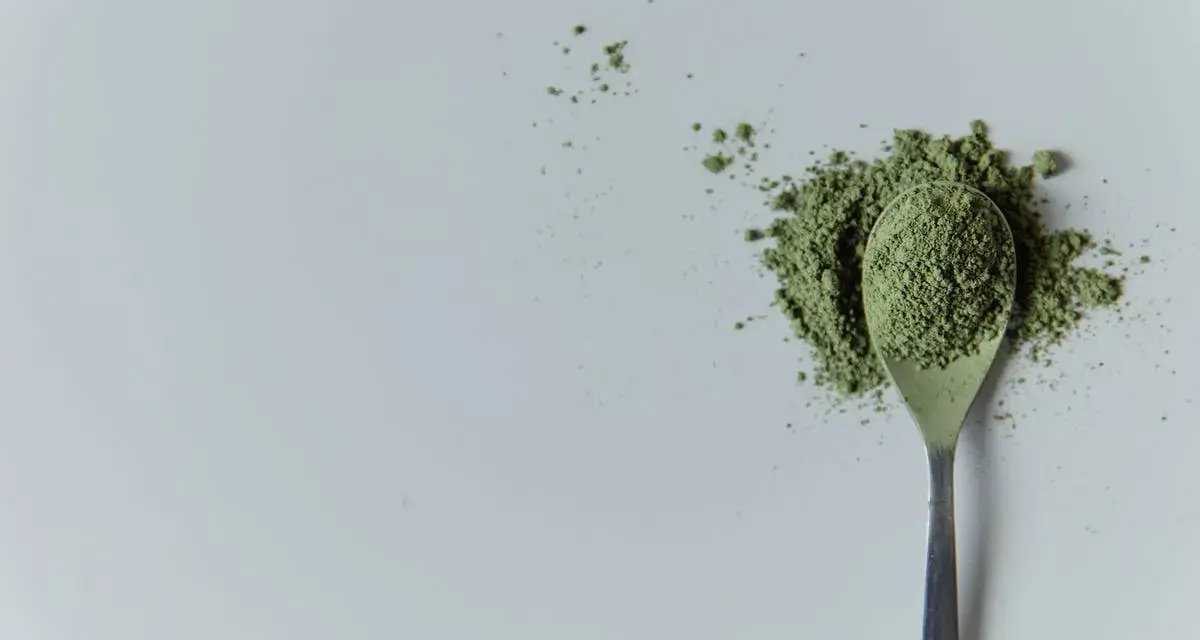 Cuillère remplie de poudre verte, rappelant la chlorella. Attention aux contre-indications avant consommation.