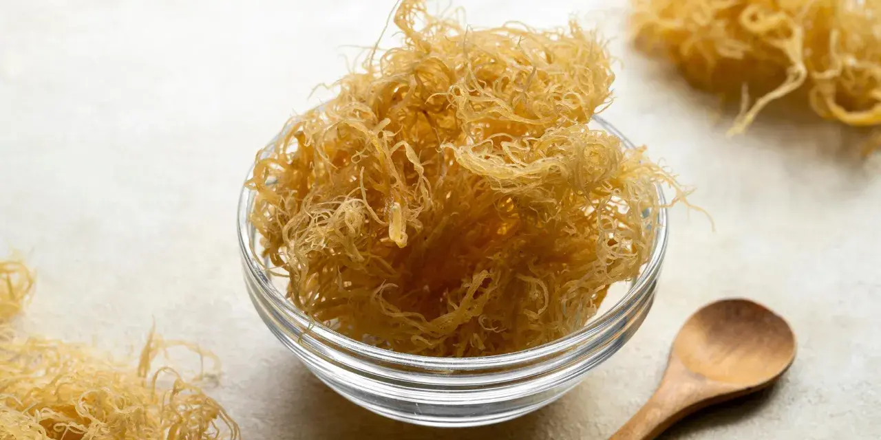 Un bol en verre rempli de **irish moss** séché, ressemblant à des fils fins et dorés. Une cuillère en bois repose à côté.