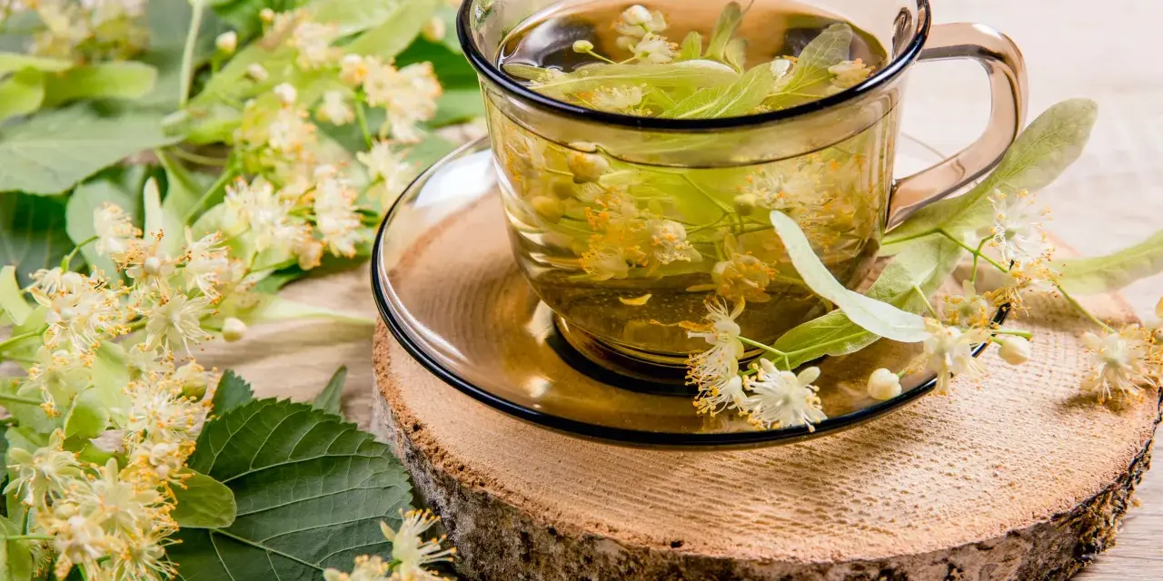 Une tasse de thé de tilleul, aux fleurs et feuilles fraîches, évoquant ses bienfaits apaisants.