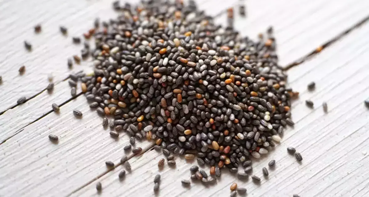 Un tas de graine de chia germé, petites et noires, sur un fond de bois blanc.