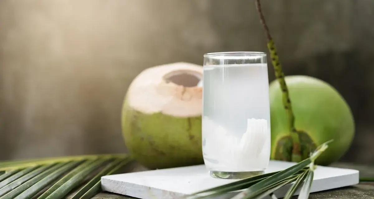 Un verre d'eau de coco, riche en potassium, à côté de noix de coco fraîches et de feuilles de palmier.