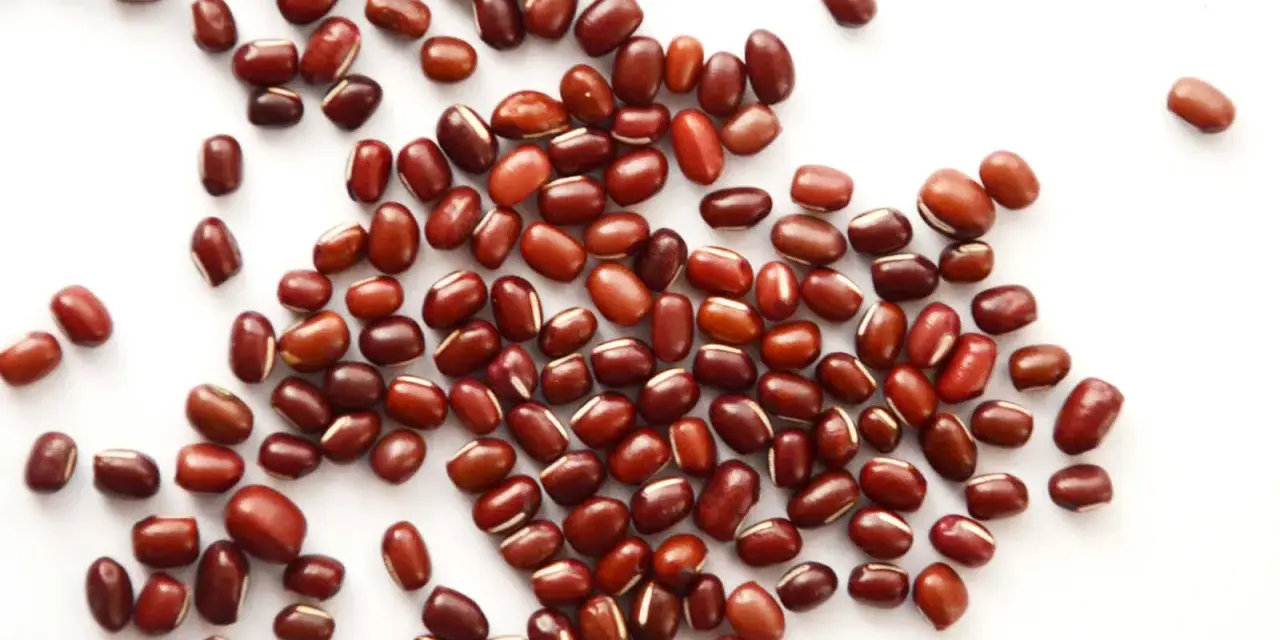 Grains de haricot azuki, petits et rouges, parsemés sur fond blanc. Découvrez les haricot azuki bienfaits pour une alimentation saine.
