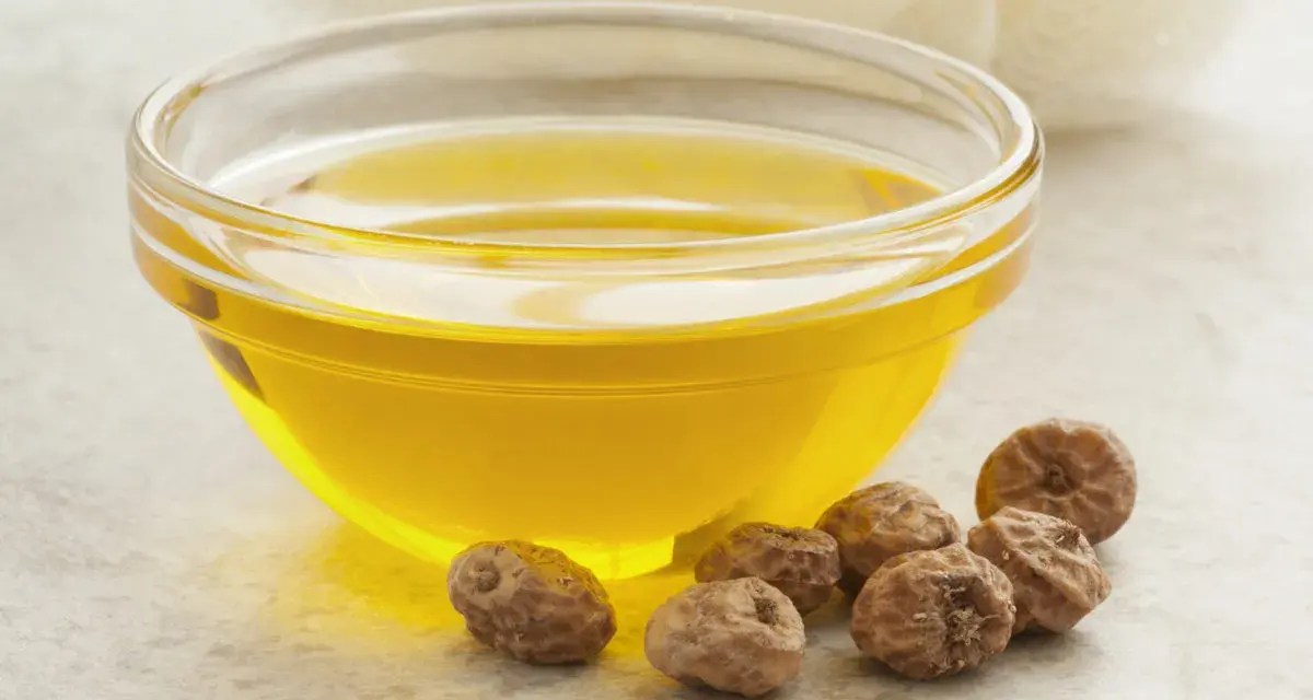 Huile dorée dans un bol en verre, entourée de noix de terre. Découvrez les noix de terre bienfaits pour une peau éclatante et une santé optimale.
