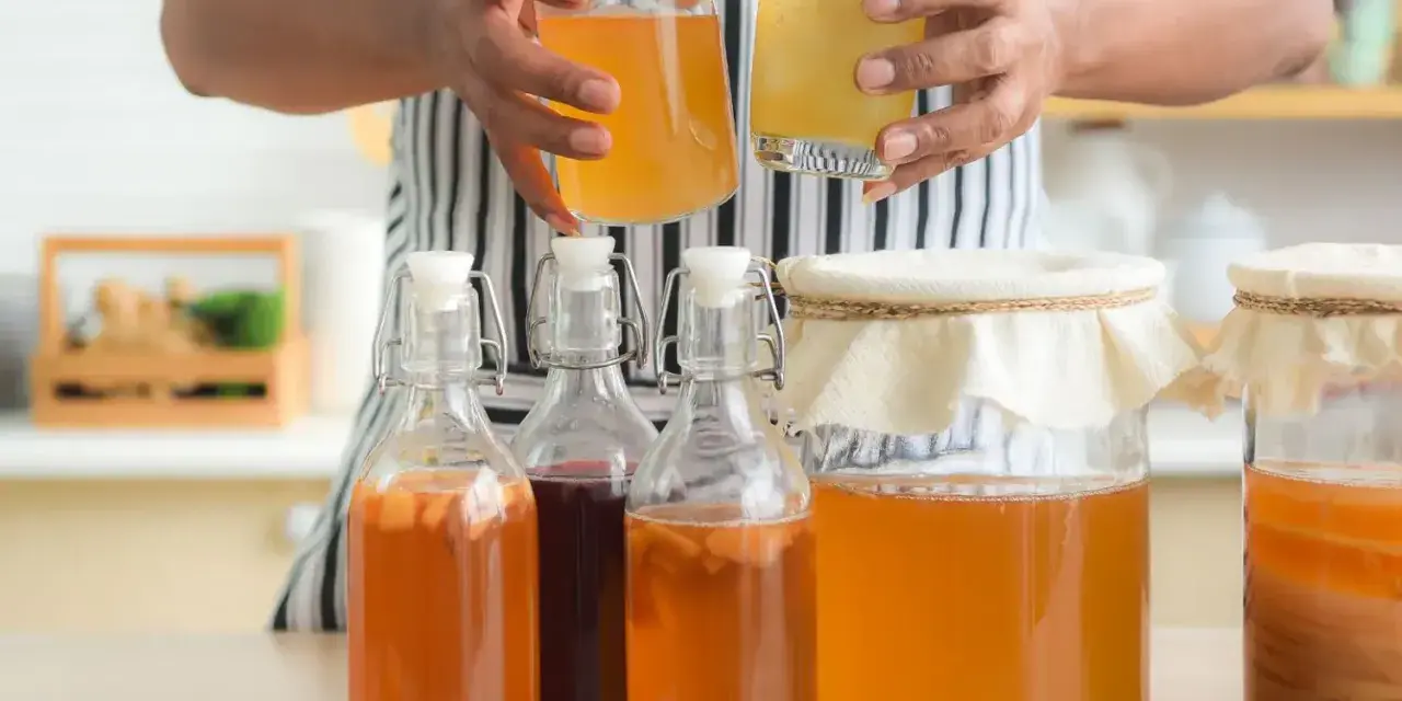 Personne tenant une bouteille et un verre de kombucha, entouré de plusieurs bouteilles et bocaux contenant le **champignon de kombucha** en fermentation.