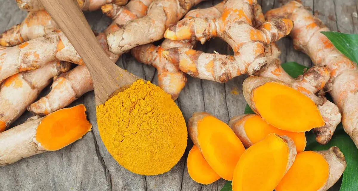 Curcuma fraîche et poudre dorée sur cuillère en bois, évoquant les nombreux curcuma frais bienfaits pour la santé.