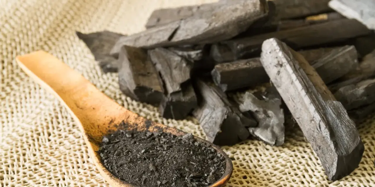 Morceaux de charbon actif et poudre dans une cuillère en bois. On se demande en combien de temps agit le charbon actif pour une détox.