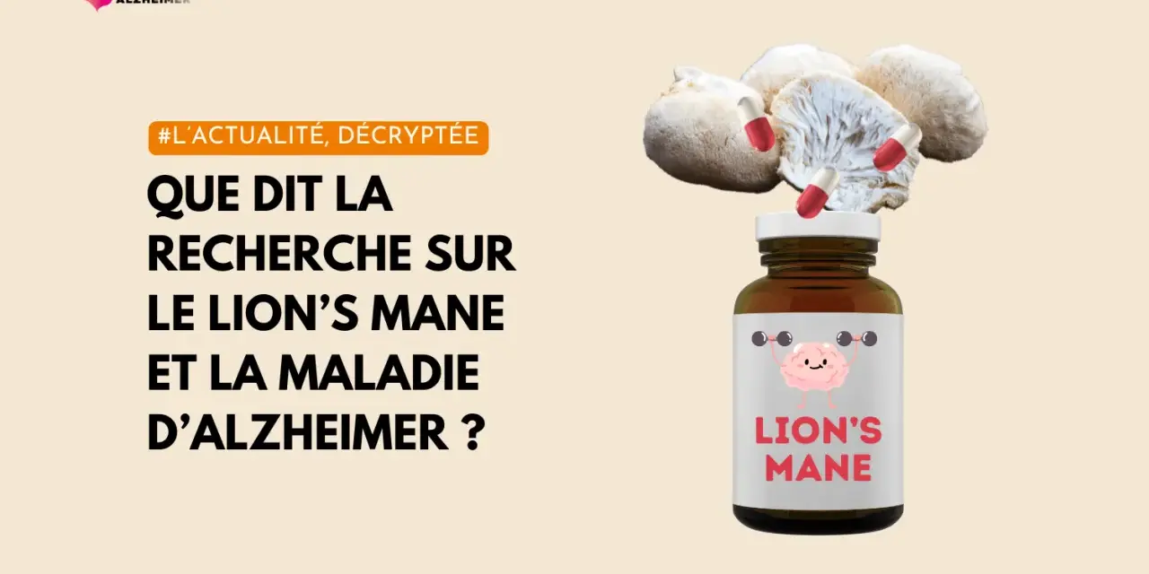 Champignon Lion's Mane et pilules, suggérant une recherche sur ses bienfaits pour la maladie d'Alzheimer.