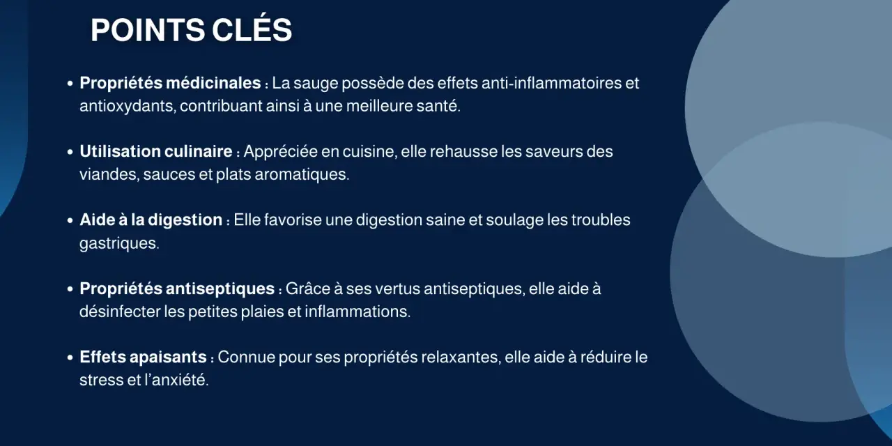 Points clés sur la sauge : ses bienfaits médicinaux, culinaires, digestifs, antiseptiques et apaisants.