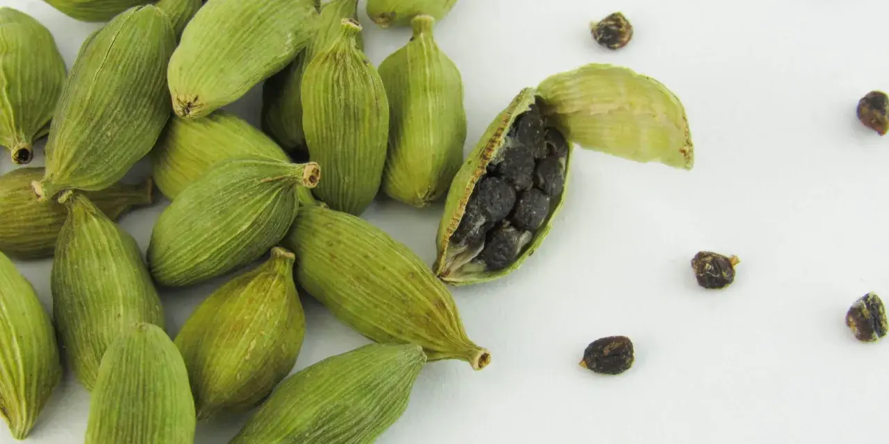 Gousses de cardamome verte, une ouverte révélant ses graines noires. Découvrez les cardamome bienfaits pour la santé et la cuisine.