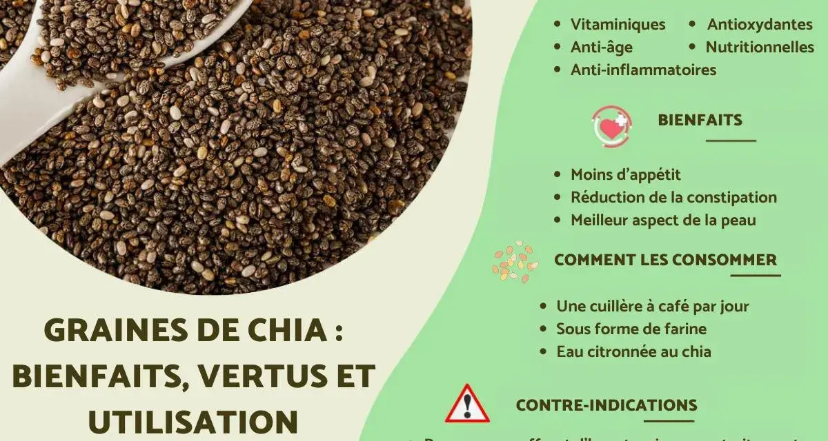Graines de chia : une cuillère à café par jour pour leurs bienfaits nutritionnels, anti-âge et anti-inflammatoires.