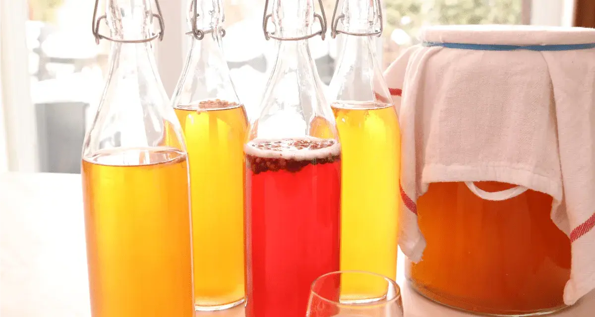 Bouteilles de kombucha jaune et rouge, prêtes pour la fermentation. Apprenez comment faire du kombucha maison.