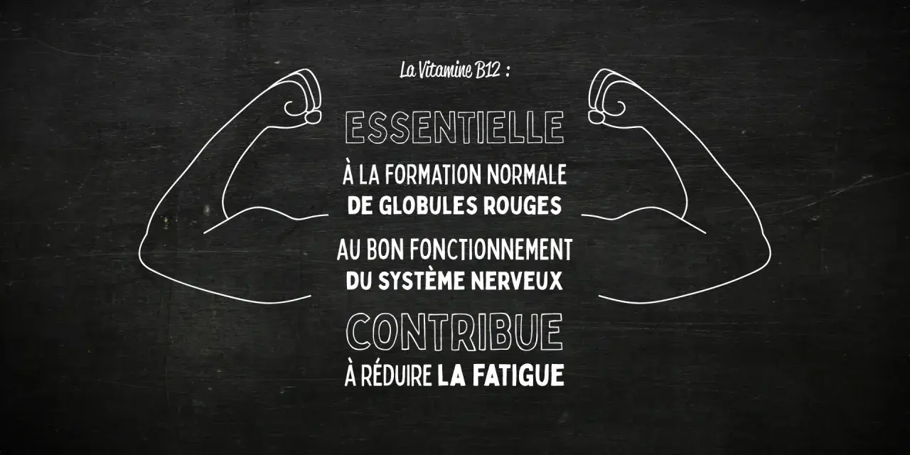 La vitamine B12, essentielle pour les globules rouges et le système nerveux, aide à réduire la fatigue. Des bras musclés symbolisent sa force.