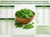 Feuilles de moringa dans un bol, avec un tableau détaillant les macronutriments, vitamines et minéraux. Les bienfaits principaux du moringa incluent son apport en antioxydants.