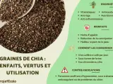 Graines de chia : une cuillère à café par jour pour leurs bienfaits nutritionnels, anti-âge et anti-inflammatoires.