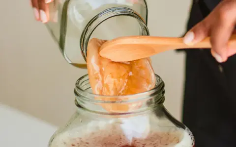 Une main dépose délicatement un scoby maison dans un bocal rempli de liquide pétillant.