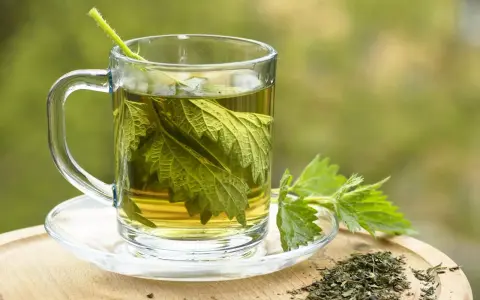 Une tasse en verre remplie d'infusion ortie, avec des feuilles fraîches et séchées à côté.
