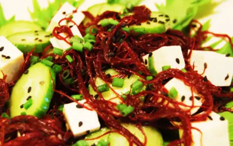 Salade fraîche avec des cubes de tofu, des rondelles de concombre, des oignons verts et une généreuse portion d'algue rouge séchée.