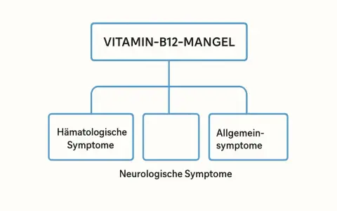Schéma illustrant les symptômes d'une carence en vitamine B12 : hématologiques, neurologiques et généraux.