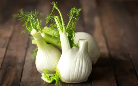 Trois bulbes de fenouil frais sur fond de bois. Le fenouil est connu pour ses propriétés bénéfiques, y compris pour aider à maigrir.