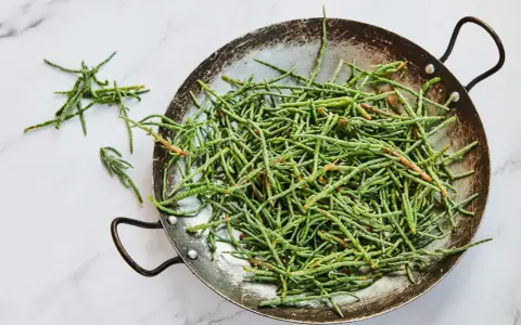 Un plat rempli de salicorne fraîche, un légume marin aux nombreux bienfaits pour la santé, prêt à être cuisiné.