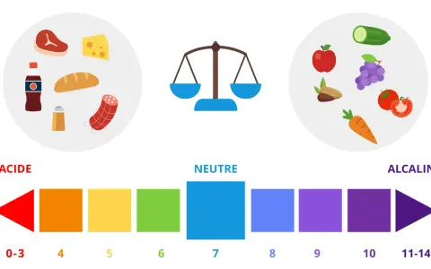Balance alimentaire : aliments acides (viande, fromage, cola) vs alcalins (fruits, légumes). Le pH de 0 à 14.