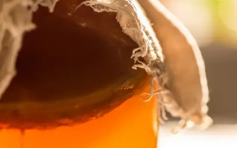 Gros plan sur un bocal couvert de tissu, révélant un liquide ambré pétillant, signe de la transformation du sucre fermenté.