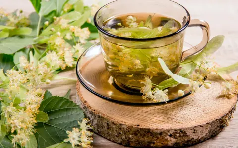 Une tasse de thé de tilleul, aux fleurs et feuilles fraîches, évoquant ses bienfaits apaisants.