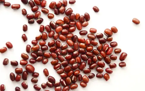Grains de haricot azuki, petits et rouges, parsemés sur fond blanc. Découvrez les haricot azuki bienfaits pour une alimentation saine.