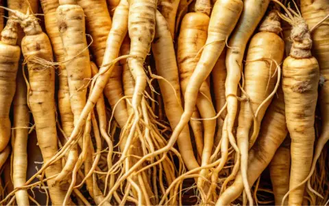 Racines de ginseng entrelacées, évoquant les nombreux ginseng bienfaits pour la santé et le bien-être.