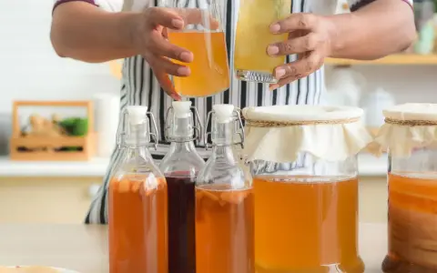 Personne tenant une bouteille et un verre de kombucha, entouré de plusieurs bouteilles et bocaux contenant le **champignon de kombucha** en fermentation.