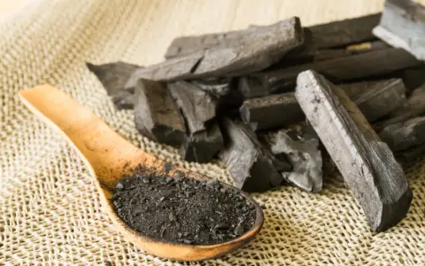 Morceaux de charbon actif et poudre dans une cuillère en bois. On se demande en combien de temps agit le charbon actif pour une détox.