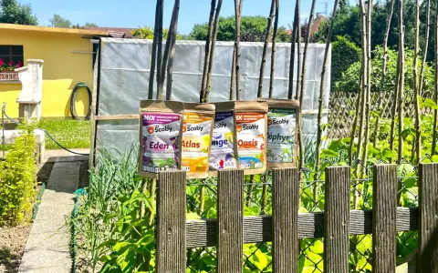 Quatre sachets d'infusions pour kéfir ou kombucha, "Eden", "Atlas", "Oasis" et "Zéphyr", sont accrochés à des piquets dans un jardin ensoleillé.