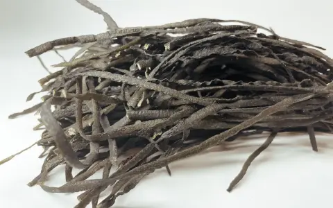 Un tas de spaghetti de mer séchés, ressemblant à des fils sombres et ondulés, prêts à être réhydratés pour un plat savoureux.