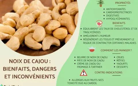 Gros plan sur des noix de cajou, avec des informations sur leurs bienfaits, mais aussi le noix de cajou danger potentiel lié aux allergies et au cardol.