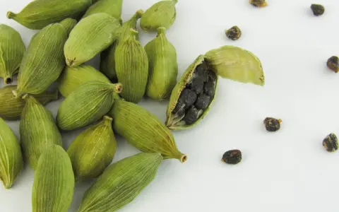 Gousses de cardamome verte, une ouverte révélant ses graines noires. Découvrez les cardamome bienfaits pour la santé et la cuisine.