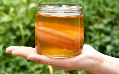 Un bocal de kombucha, boisson fermentée, tenu dans une main. Le SCOBY flotte dans le liquide ambré.