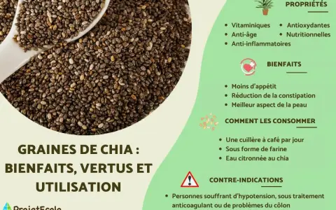 Graines de chia : une cuillère à café par jour pour leurs bienfaits nutritionnels, anti-âge et anti-inflammatoires.