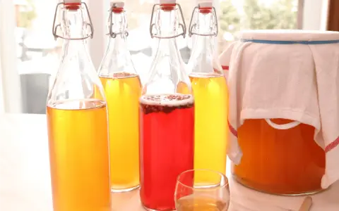 Bouteilles de kombucha jaune et rouge, prêtes pour la fermentation. Apprenez comment faire du kombucha maison.