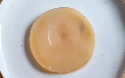 Disque de kombucha moisi, d'une couleur beige pâle, posé sur une assiette blanche.