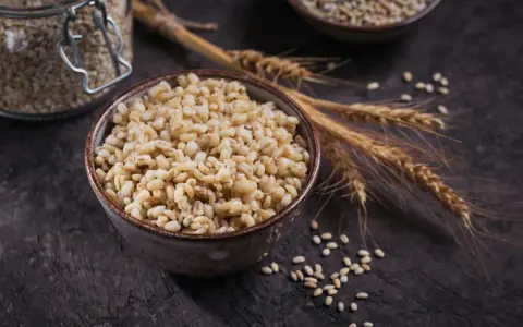 Un bol de perles d'orge cuites, avec des épis et des grains d'orge, évoquant les nombreux bienfaits de ce grain.
